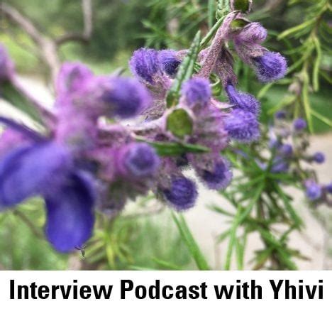 yhivi pregnant|Interview Podcast with Yhivi, by Sean Arenas and Nikki Fox.